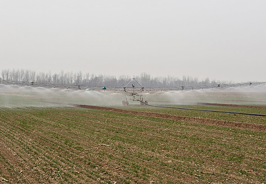 抢抓农时忙春管 科技赋能保丰产