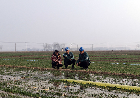 无人机空中“巡诊” 电力人地头“把脉” 武邑县供电公司倾力服务护航春耕春灌